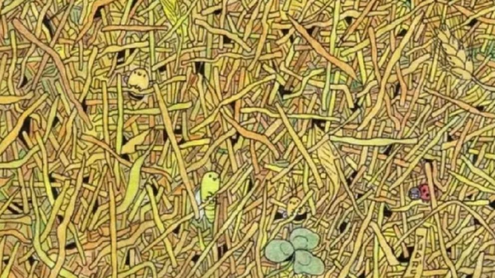 Solo una mente experta puede resolver este difícil reto visual y encontrar la aguja en el pajar en menos de 20 segundos. ¿Vos podrás?