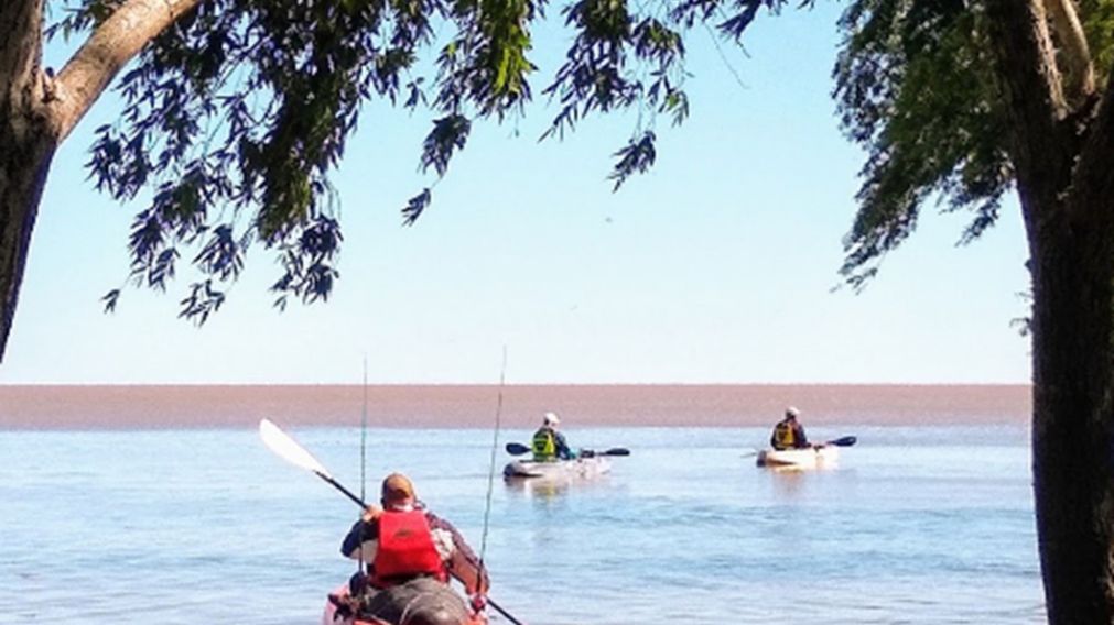 Una playa "secreta" para descubrir a pocos minutos de CABA.
