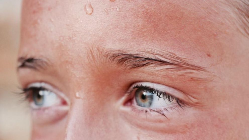 2024: ¿Un Año sin Precedentes de Calor Global?