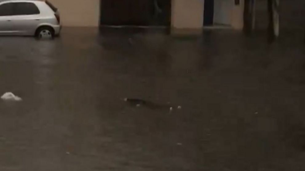Una usuaria public� la imagen dram�tica con la que se encontr� desde la ventana de su casa.