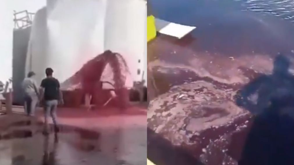 Capturas del video con el vino derramado en el suelo. (TikTok)