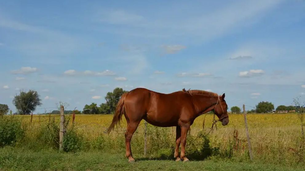 Un paraíso rural cerca de la ciudad para conectar con las tradiciones.