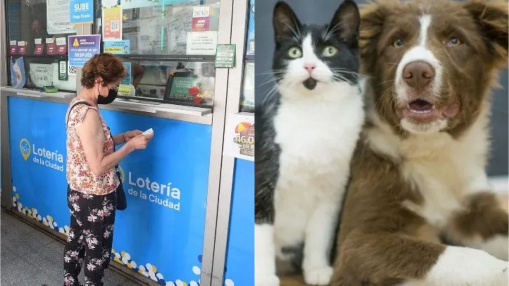 Pidió un boleto de lotería por su cumpleaños, ganó una fortuna y usará el premio para su "amigo de cuatro patas"
