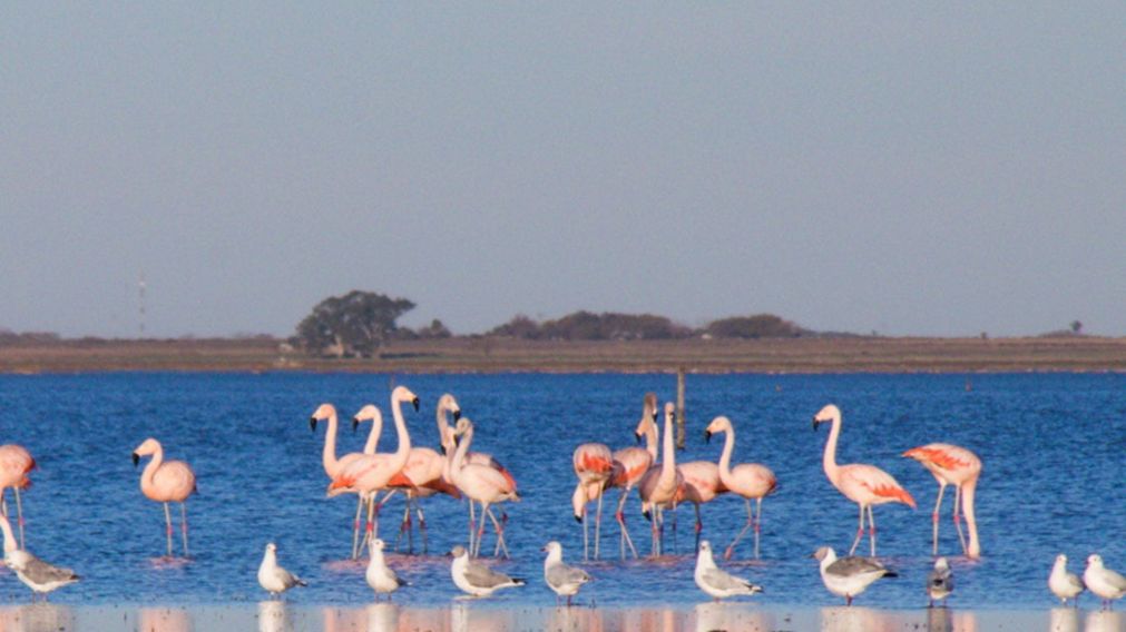 Un pueblito "poco conocido" para conectar con la naturaleza.