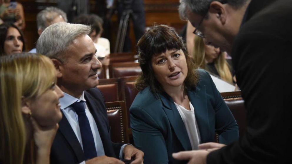 Carolina Gaillard se enojó con el oficialismo por el tratamiento del DNU 70/2023 (Archivo).