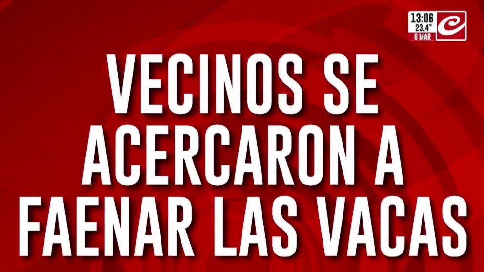 Crónica HD