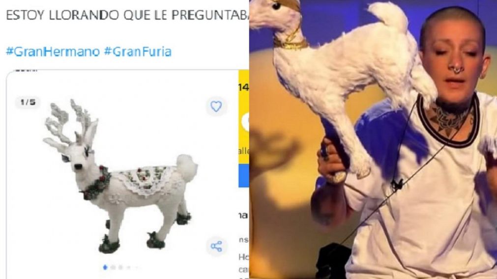 En las redes se volvió furor un reno similar al de Furia de Gran Hermano y estallaron los comentarios.