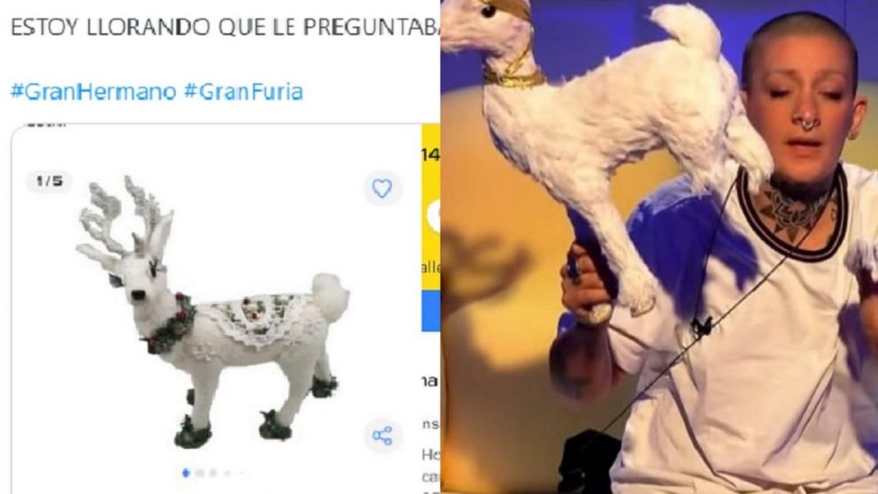 En las redes se volvió furor un reno similar al de Furia de Gran Hermano y estallaron los comentarios.