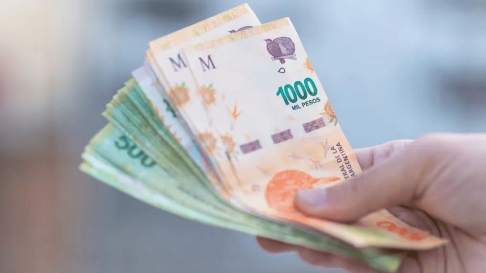 Anses entregará dos beneficios a la AUH para marzo 2024 (Imagen ilustrativa)