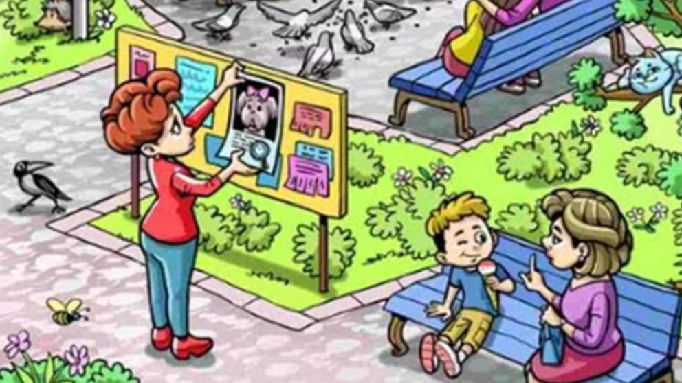 Poné a prueba tus sentidos con este nuevo reto visual.