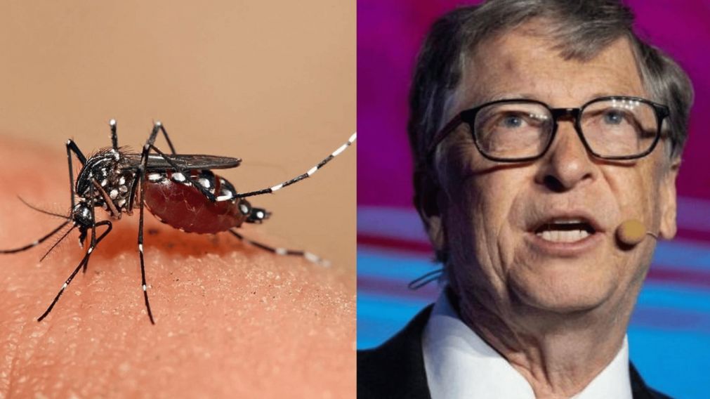 Acusan a Bill Gates de ocasionar la invasión de mosquitos en Argentina