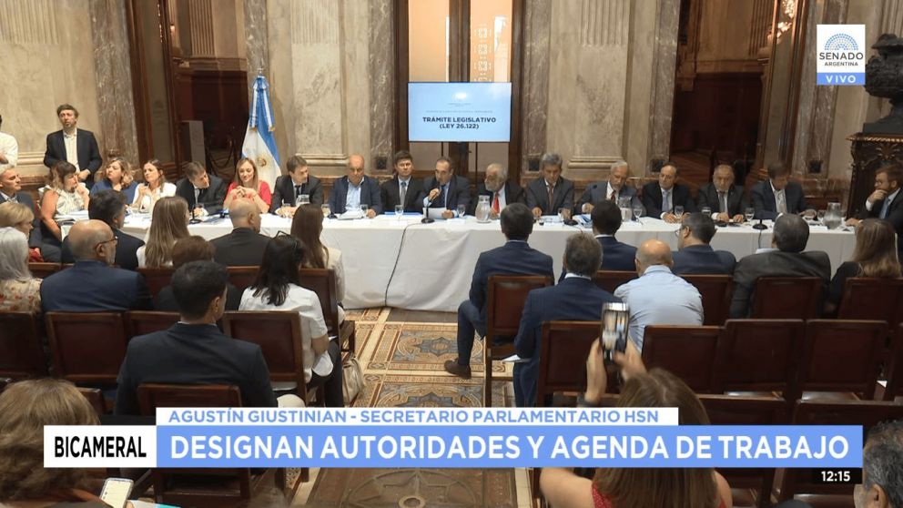 Comenzó a deliberar la Comisión Bicameral que debe tratar DNU de desregulación económica.