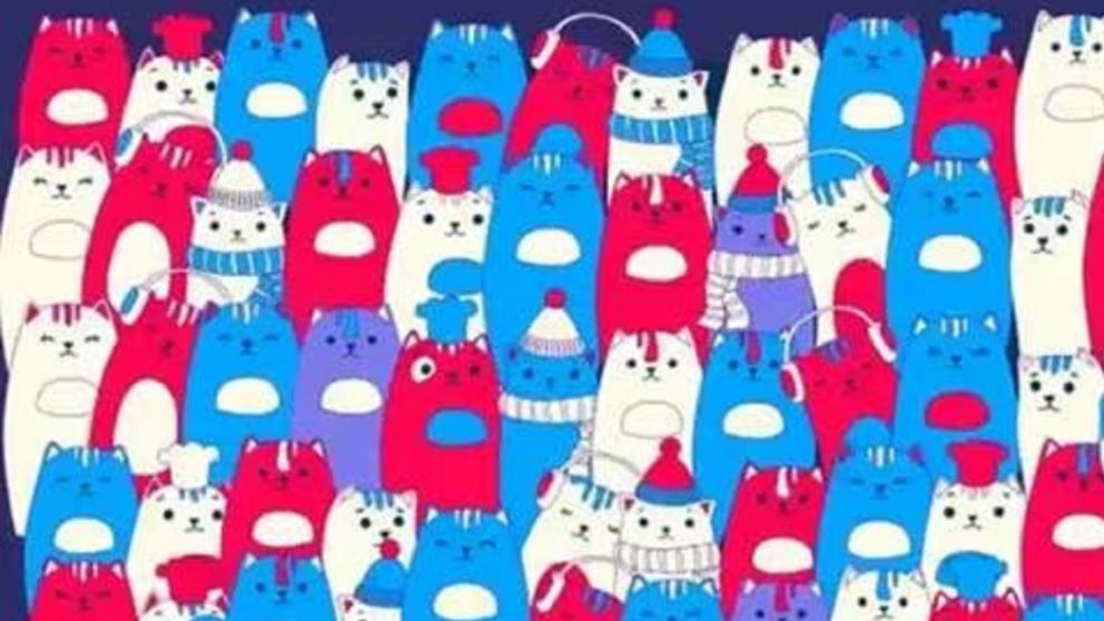 Reto visual: solo el 1% logra encontrar al conejo escondido entre los felinos, ¿vos podrás?