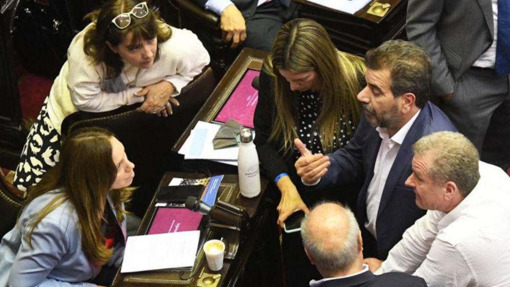 El PRO se prepara la apertura de sesiones del próximo 1 de marzo. (Archivo)