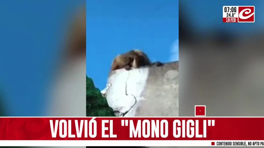 Crónica HD