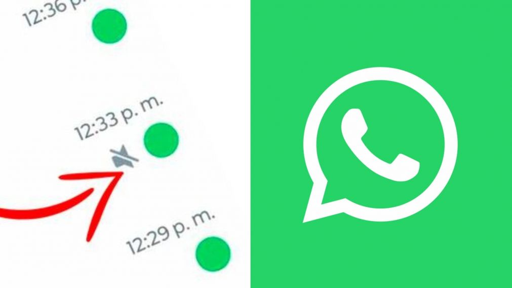 ¿Cómo activar el punto verde en WhatsApp?