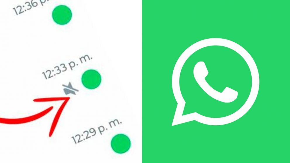 �C�mo activar el punto verde en WhatsApp?