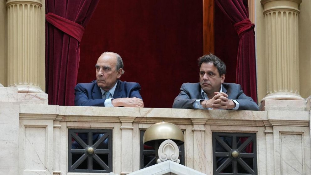 El ministro del Interior, Guillermo Francos, en Diputados.