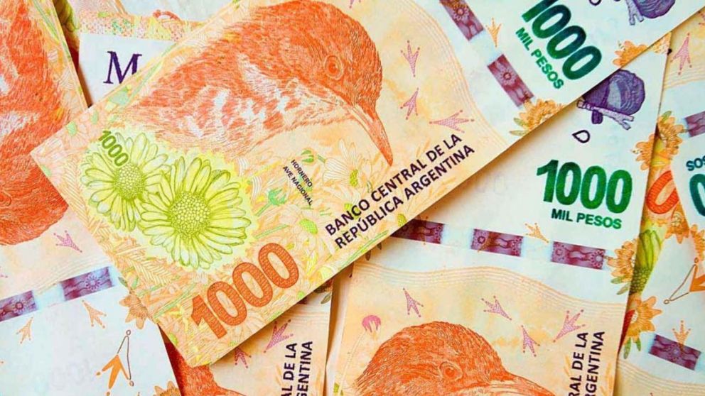 Atención jubilados: ¿Cuánto cobran en febrero 2024?