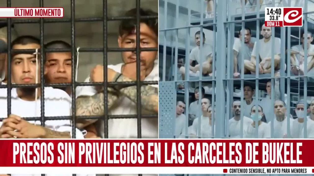 Crónica HD