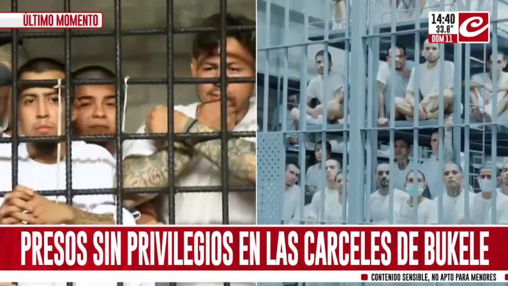 Crónica HD