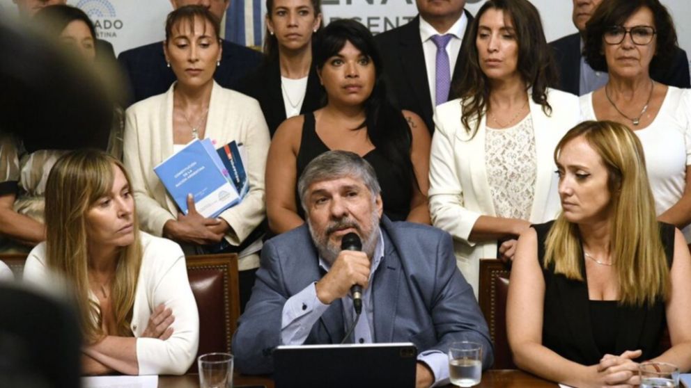 Senadores de Unión por la Patria pidió que llamen a sesión para tratar el DNU del Gobierno.