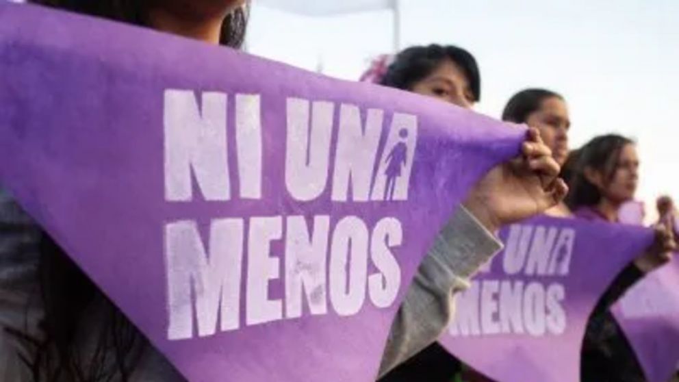 Preocupación por la falta de asistencia a las víctimas de violencia de género.