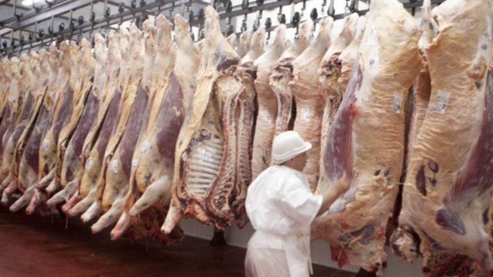 C�rdoba: dos ni�os murieron por S�ndrome Ur�mico Hemol�tico y ya hubo siete casos en lo que va del a�o