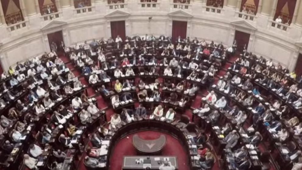 Media sanción para la Ley Ómnibus en general.