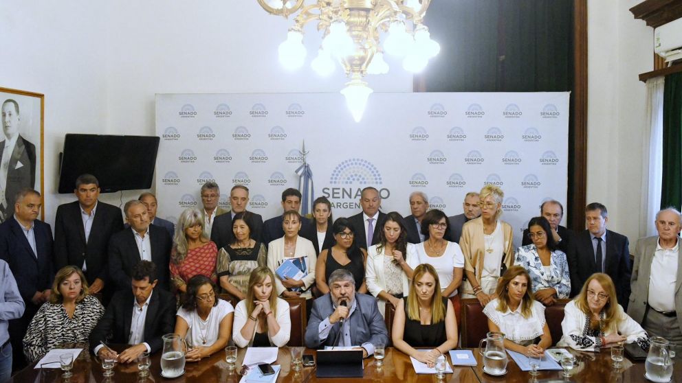 ¡EN VIVO! Inminente anuncio en el Senado del Interbloque de Unión por la Patria.