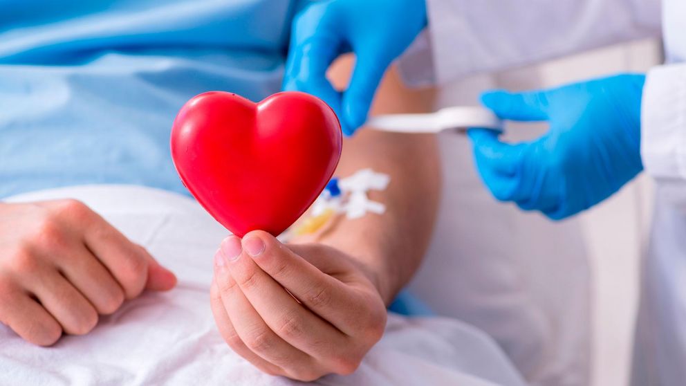 La donación de médula ósea es vital para salvar vidas (Imagen ilustrativa).