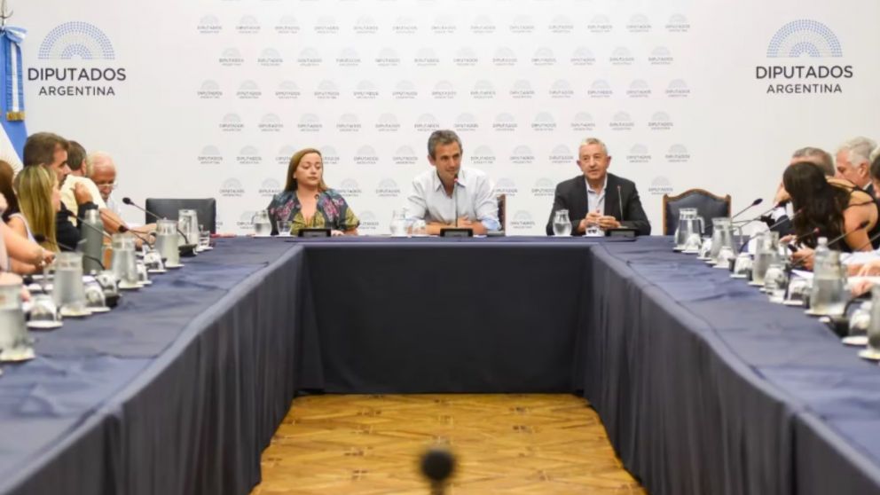 Ley Ómnibus: se realizó la reunión de Labor Parlamentaria y este miércoles se debatirá el proyecto en una sesión maratónica .