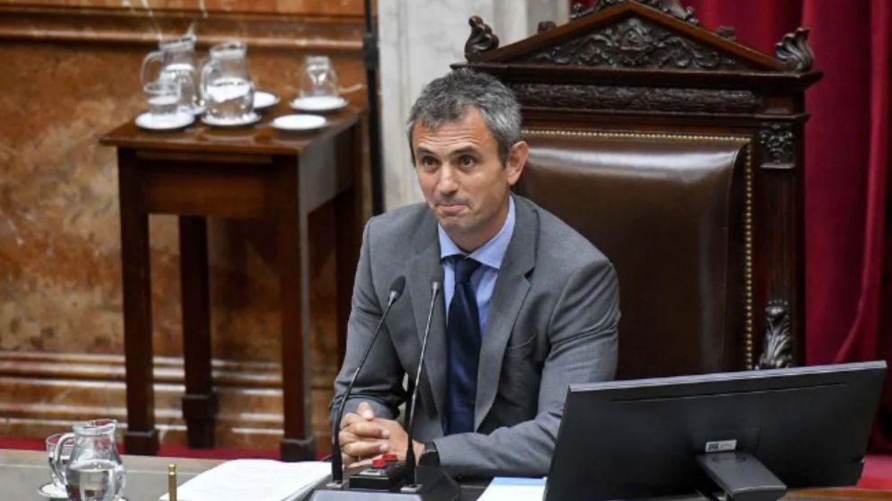 Mart�n Menem, presidente de la C�mara de Diputados.