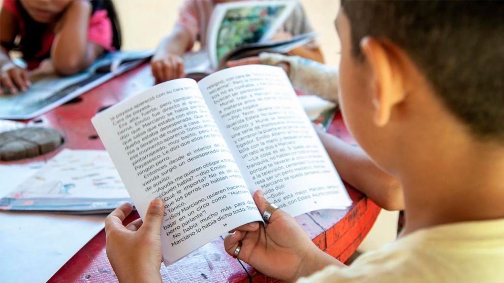 Los libros de lengua para el nivel primario arrancan en $13.000 y llegan hasta $23.900, según el relevamiento de Crónica (Imagen ilustrativa).