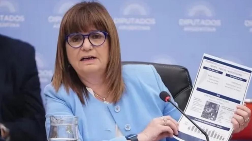 La ministra de Seguridad, Patricia Bullrich, pidió al Congreso que aprueben la Ley Ómnibus (Archivo).