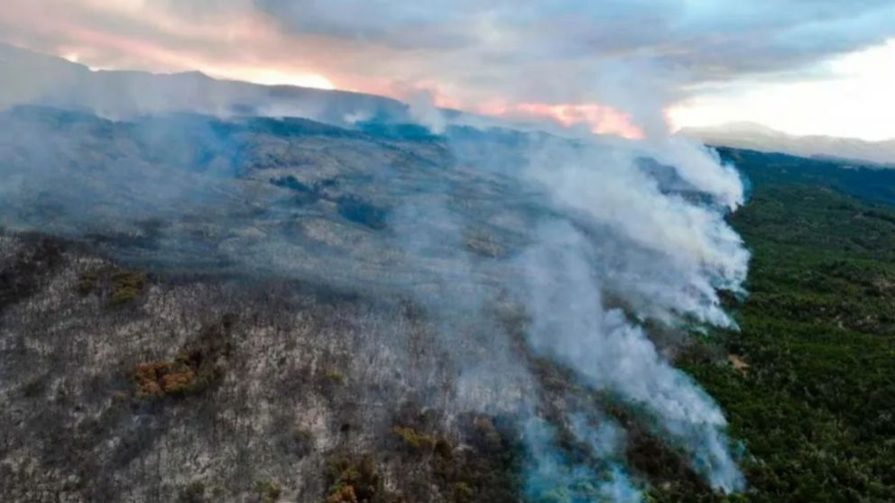 Intenso trabajo para combatir los incendios en el Parque Nacional Los Alerces.