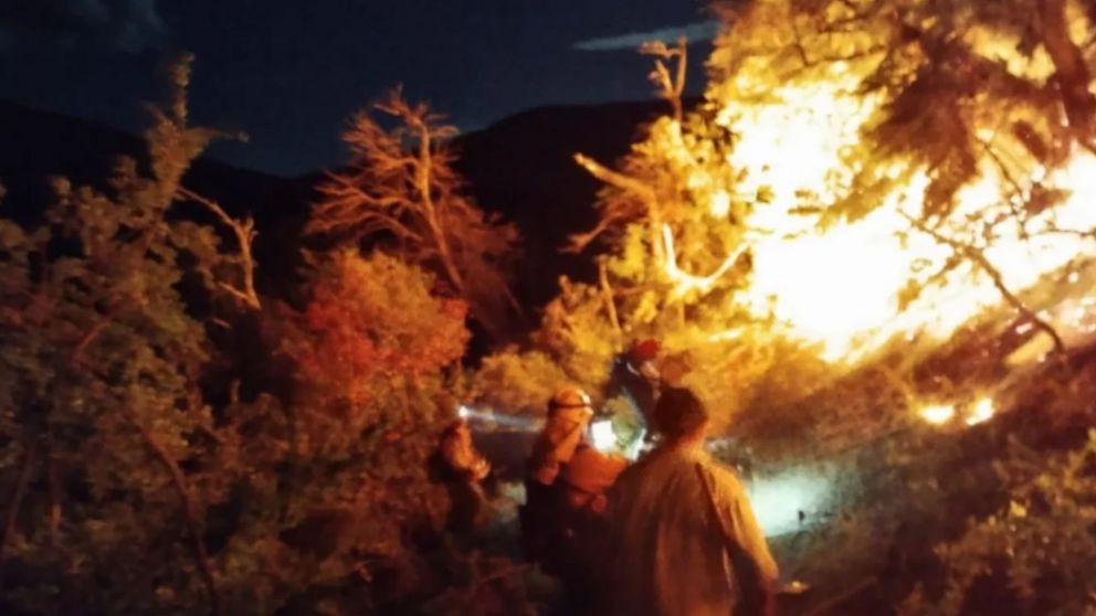 Brigadistas y Bomberos trabajan en el operativo que se desplegó en la zona de Bahía Rosales.