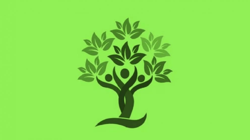 El asombroso significado del reto visual que es furor.