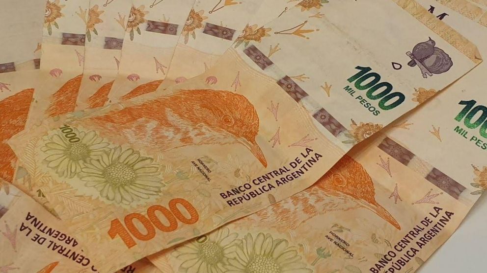 Bono de $130.000 de la ANSES: ¿Quiénes lo cobran?