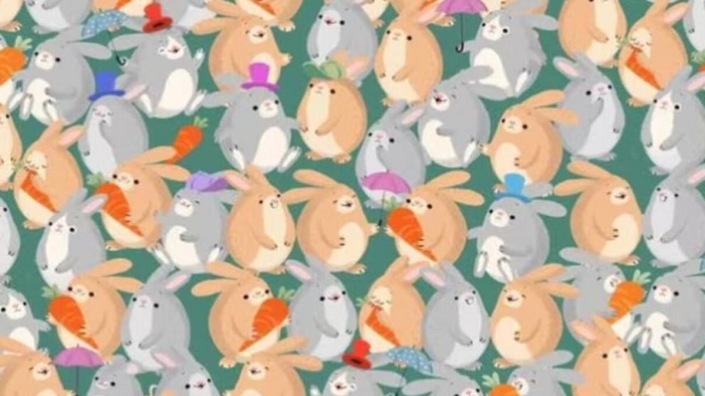 El reto visual es encontrar al roedor entre los conejos.