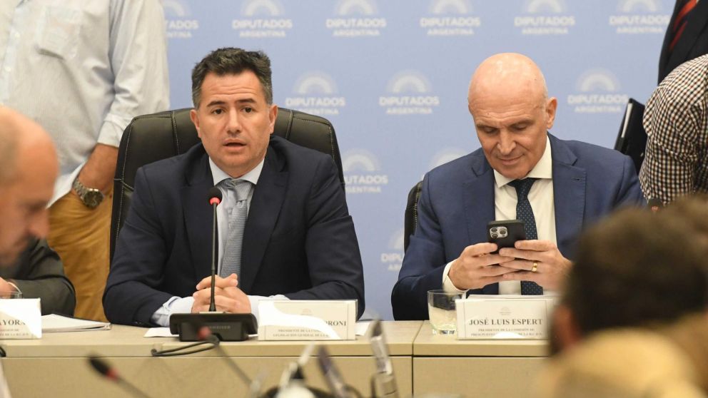 Arrancó el plenario por Ley Ómnibus en Diputados.