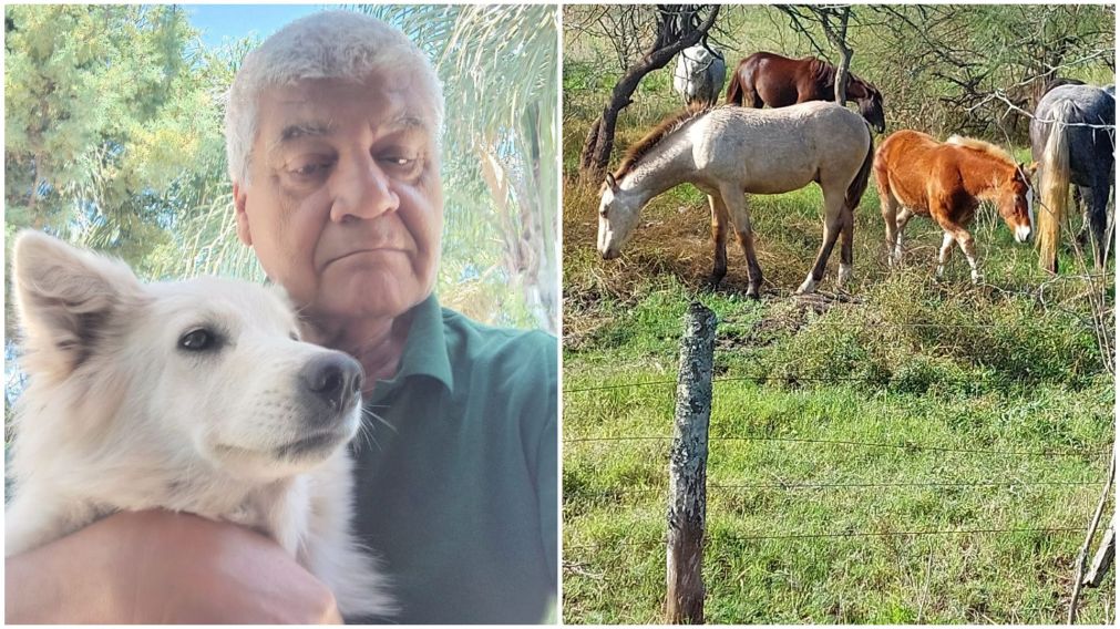 Un denunciante quedó detenido tras haber sufrido un supuesto robo de equinos en San Vicente.