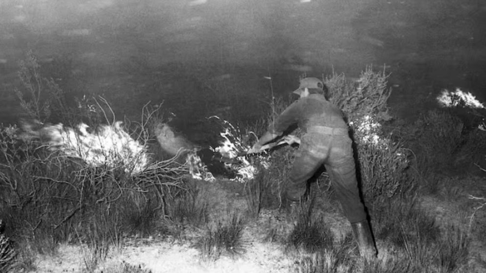 Se cumplen 30 a�os del incendio que provoc� la muerte de 25 bomberos voluntarios en Puerto Madryn (Archivo/T�lam).