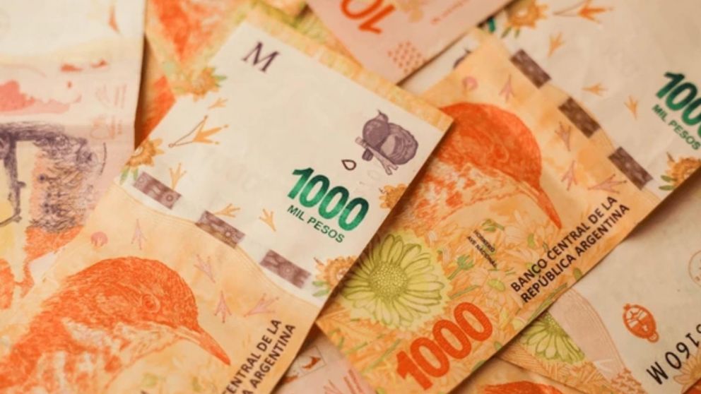 Bono de ANSES para algunos sectores sociales: ¿Cuánto y cuándo se cobra?