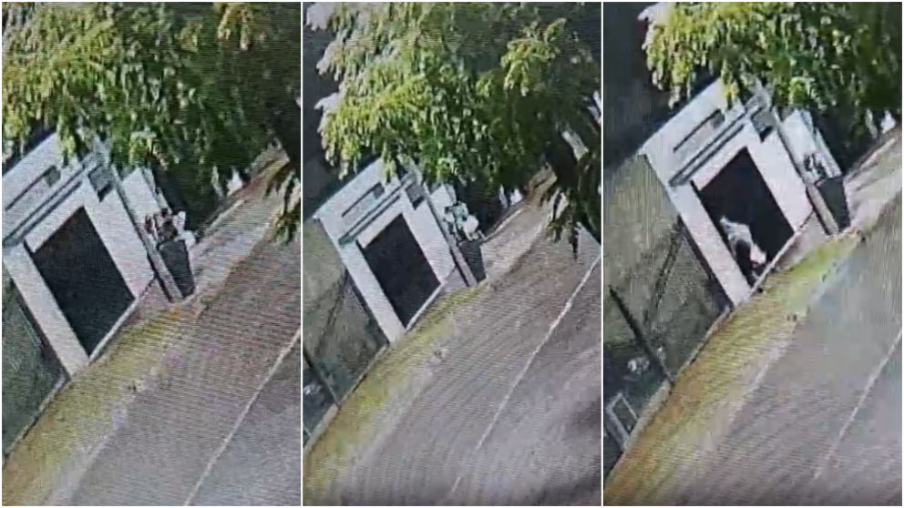 El autor del hecho fue captado por una c�mara de seguridad.