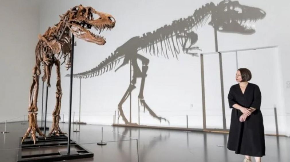 La nueva especie es familiar cercano del Tyrannosaurus rex (Twitter).