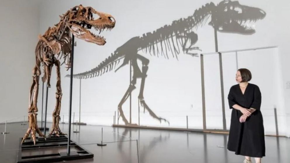 La nueva especie es familiar cercano del Tyrannosaurus rex (Twitter).