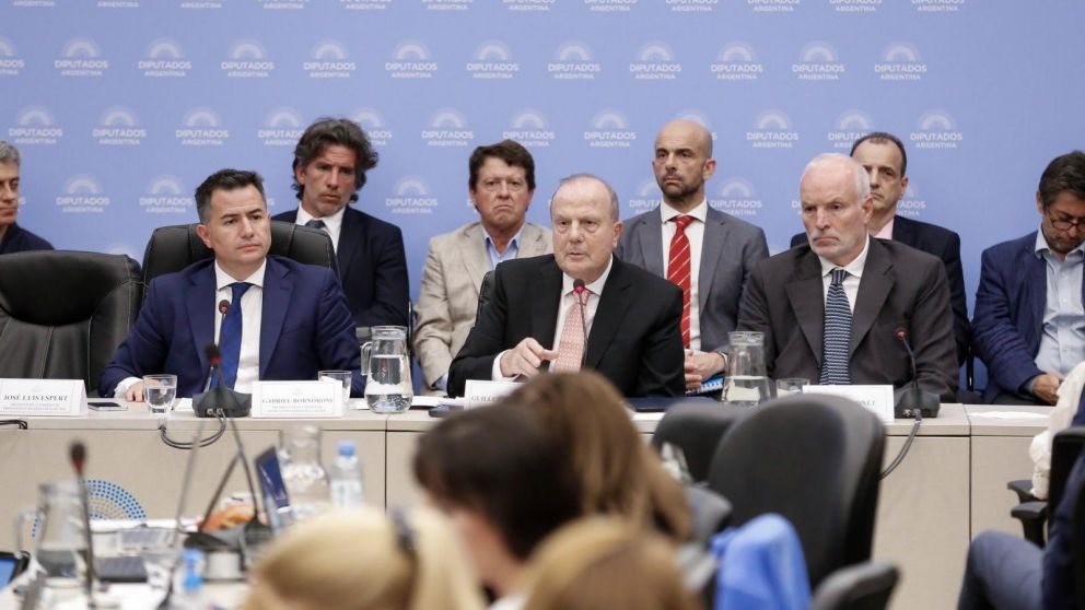 Plenario de Comisiones en el Congreso por la Ley Ómnibus (Twitter/@DiputadosAR).