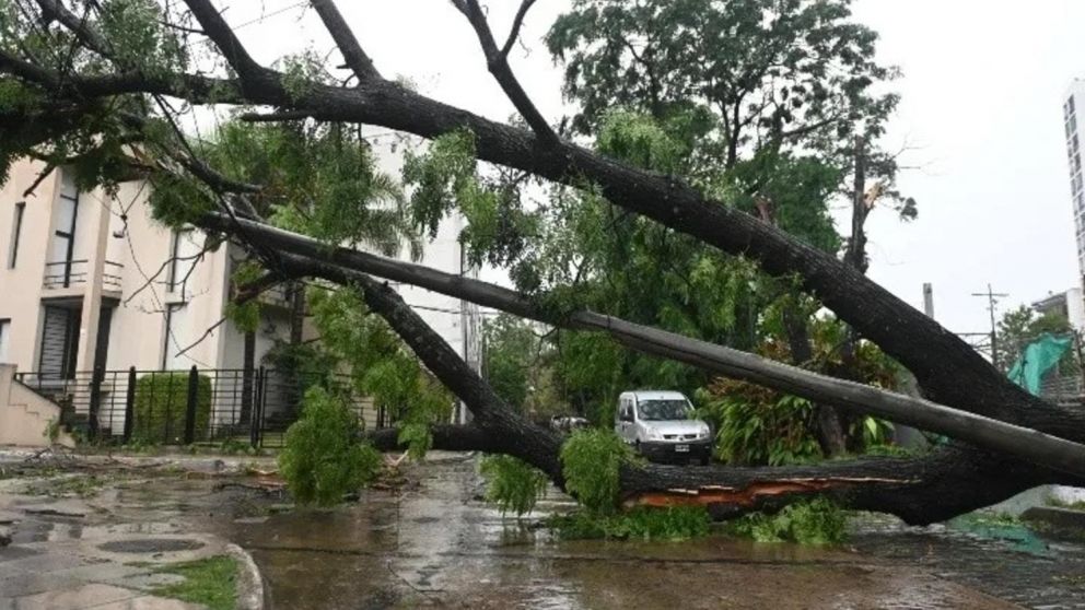 Muchos vehículos resultaron dañados como consecuencia del temporal.