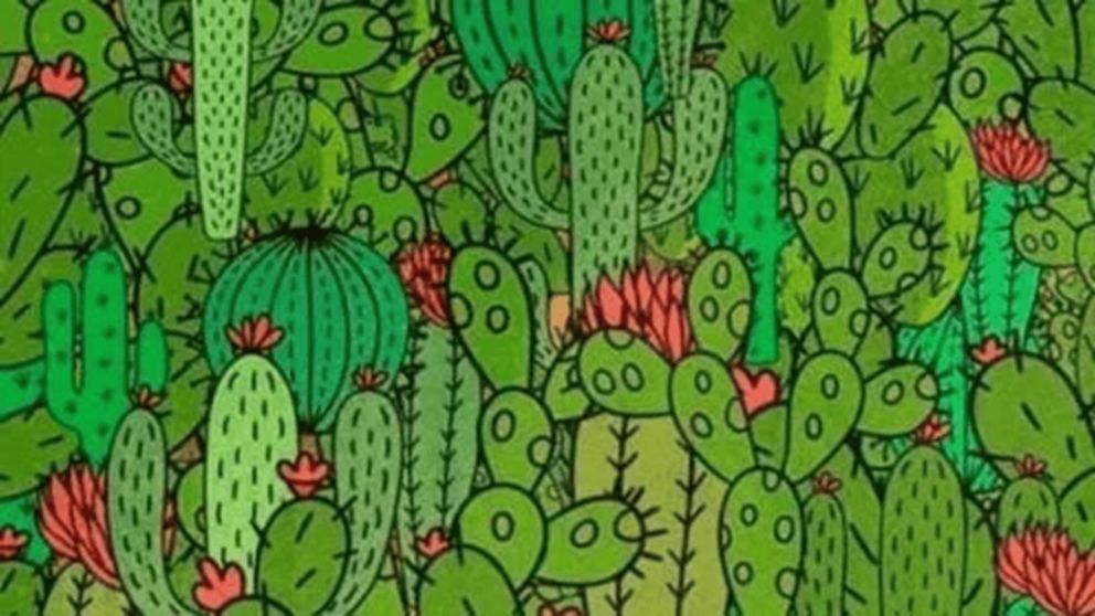 El reto visual que causó sensación en internet.